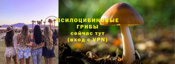герыч Новозыбков