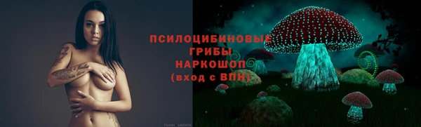 герыч Новозыбков