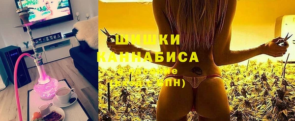 шишки Новокубанск