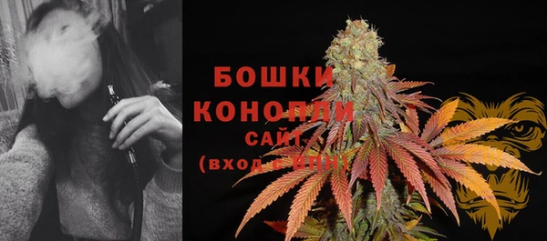 герыч Новозыбков