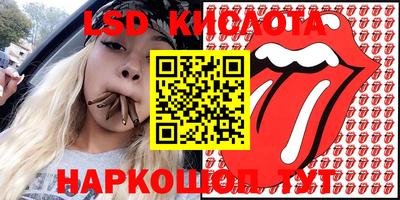 ПСИЛОЦИБИНОВЫЕ ГРИБЫ Гатчина