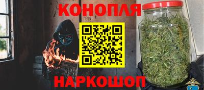 ПСИЛОЦИБИНОВЫЕ ГРИБЫ Гатчина