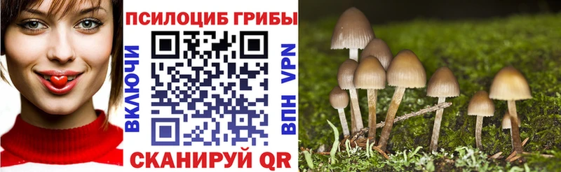Галлюциногенные грибы Psilocybine cubensis  купить наркотики сайты  Клин 
