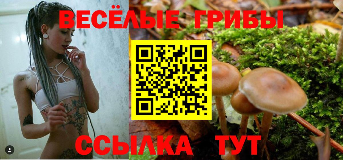 Галлюциногенные грибы GOLDEN TEACHER  Клин 